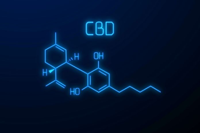 Jump On The CBD Hype Become Independent With CBD