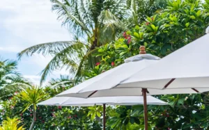 Best Custom Tents for Windy Weather